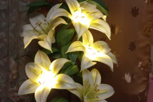 Квіти- світильники ручної роботи - Опис