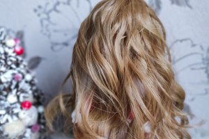 Зимова крихітка - Опис