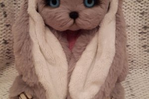 зайка ручної роботи - Опис