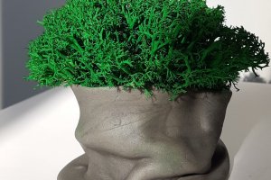 Робота Кашпо з стабілізованою мохом