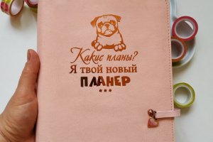 Работа Планеры в год "Мопс"