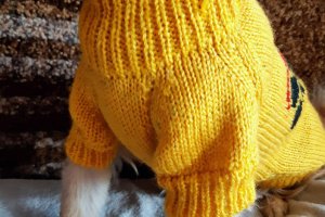 Вязаные вещи для домашних любимцев  - Описание