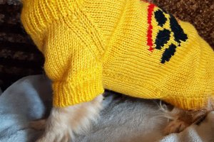 Вязаные вещи для домашних любимцев  - Описание