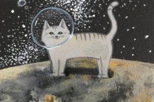 Чому-це - Опис