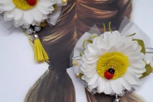 Бантики з ромашками - Опис