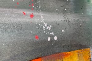 Тукан - Описание