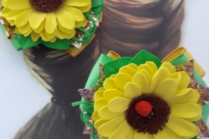 бантики ромашки - Опис