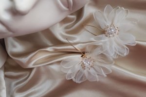 Работа СЕРЬГИ