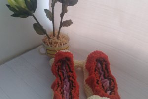 Сушки для ковзанів - Опис