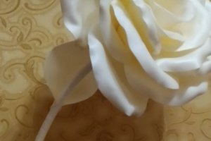 Роза - Описание