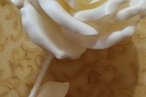 Роза - Описание