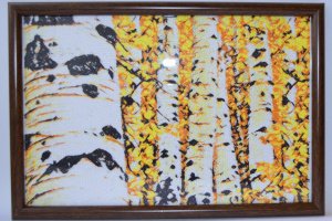 Березовий гай - Опис