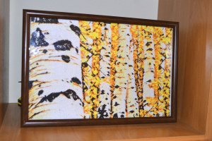 Березовий гай - Опис