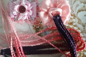 Бантики зі знімними косичками - Опис