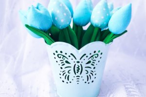 М'ятна прохолода - Опис