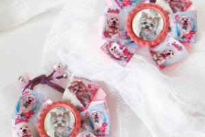 Подарунковий набір з песиком - Опис