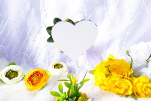 Sunny love- сонячна любов - Опис