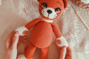 рыжий Котик - Описание