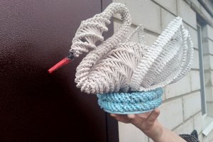 Лебідь, газетна лоза - Опис