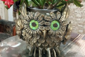 Квітковий горщик Совушка - Опис