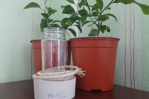 Работа Ваза-кашпо из бетона