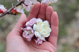 заколка/брошь с цветами "Кофейный шампань" - Описание