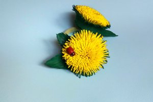 Цветы с фоамирану, одуванчики, васильки, ромашки - Описание