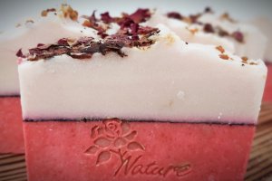 Мило Трояндове - ІНШІ РОБОТИ