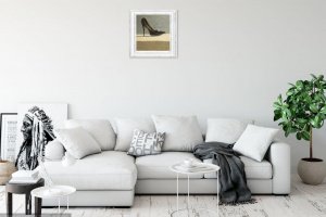 дамська туфелька - Опис