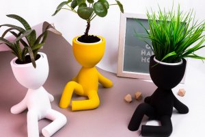 Кашпо, горшки для цветов - Описание