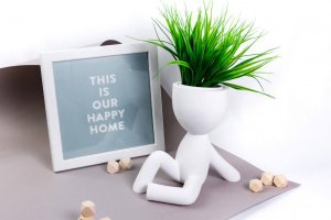 Кашпо, горшки для цветов - Описание