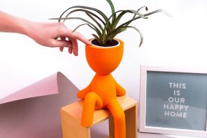 Кашпо, горшки для цветов - Описание