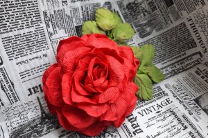 Робота Червона роза