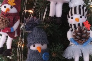 Сніговик - Опис