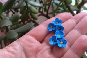 Работа Серьги гвоздики с незабудками