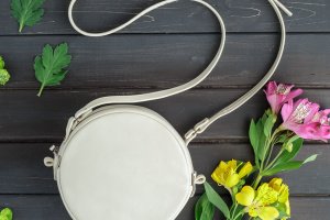 Маленька Сумка З Домашнім Улюбленцем Сфінкс - Опис