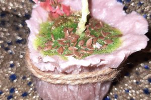 Робота Програмна свічка "Мішечок Достатку"