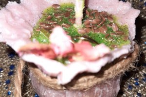 Програмна свічка "Мішечок Достатку" - Опис