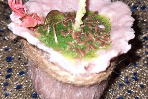 Програмна свічка "Мішечок Достатку" - Опис