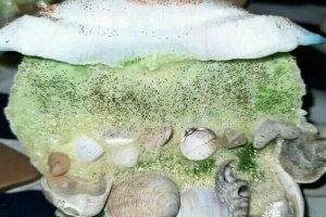 Програмна свічка "Хвиля Достатку" - Опис