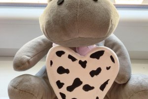 Тарілочка з пасти для моделювання для аксесуарів - Опис