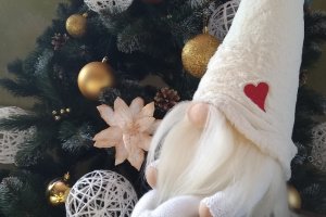 Гном - Описание