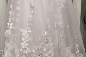 Жасмин - Описание