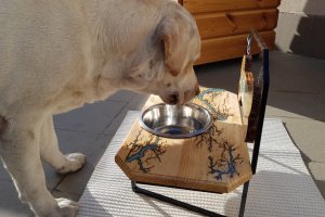 Именная подставка "Молния" с мисками ручной работы - Описание