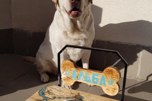 Именная подставка "Молния" с мисками ручной работы - Описание