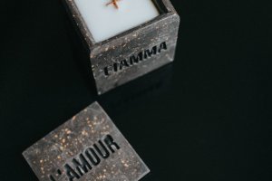 ПЛАМЕНЯ - Опис