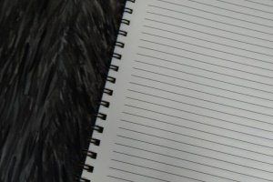 Блокнот А5 з кульковою ручкою і олівцем - Опис
