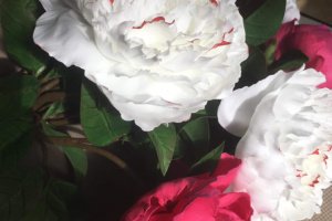 Квіти з фоамірана (пластичний замш) - Опис