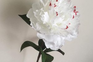 Квіти з фоамірана (пластичний замш) - Опис