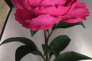 Квіти з фоамірана (пластичний замш) - Опис